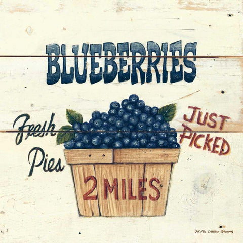 Blueberries Just Picked White Modern Wood Framed Art Print with Double Matting by Brown, David Carter