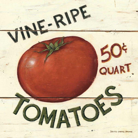 Vine Ripe Tomatoes White Modern Wood Framed Art Print by Brown, David Carter