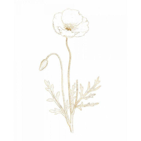 Gilded Botanical I White Modern Wood Framed Art Print by Wild Apple Portfolio