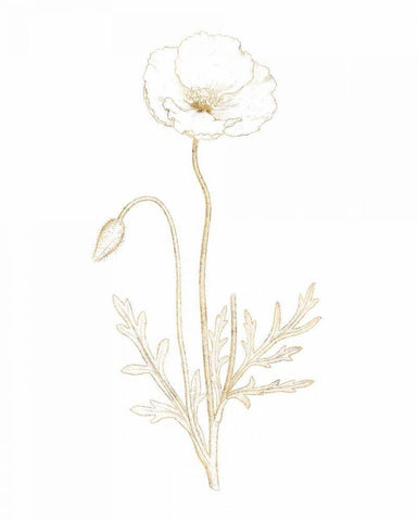 Gilded Botanical I Black Ornate Wood Framed Art Print with Double Matting by Wild Apple Portfolio