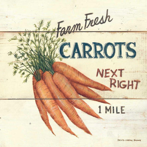 Farm Fresh Carrots Black Ornate Wood Framed Art Print with Double Matting by Brown, David Carter