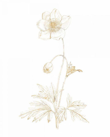 Gilded Botanical II Black Ornate Wood Framed Art Print with Double Matting by Wild Apple Portfolio