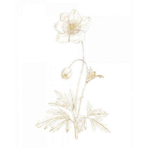 Gilded Botanical II Black Modern Wood Framed Art Print with Double Matting by Wild Apple Portfolio