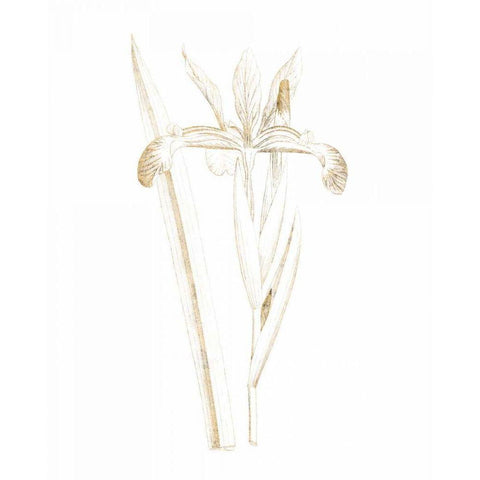 Gilded Botanical III White Modern Wood Framed Art Print by Wild Apple Portfolio