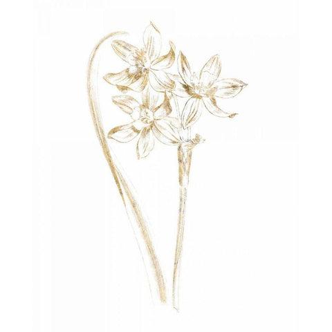 Gilded Botanical IV White Modern Wood Framed Art Print by Wild Apple Portfolio