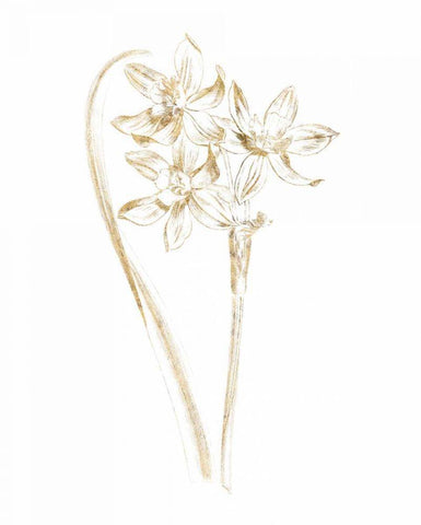 Gilded Botanical IV White Modern Wood Framed Art Print with Double Matting by Wild Apple Portfolio