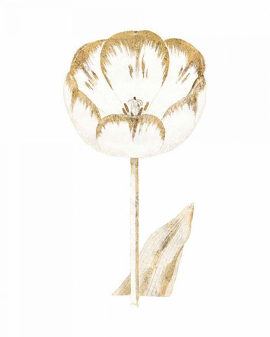 Gilded Botanical V Black Ornate Wood Framed Art Print with Double Matting by Wild Apple Portfolio