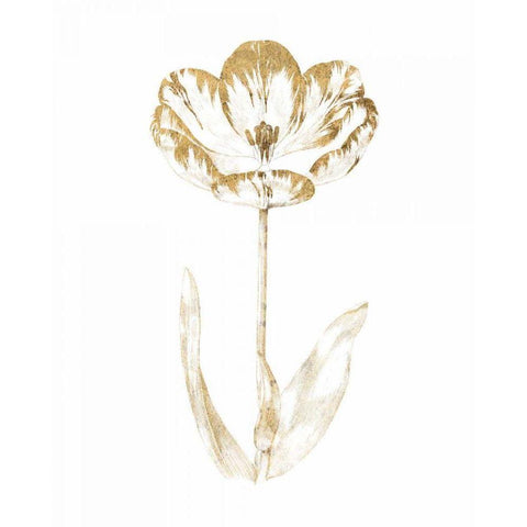 Gilded Botanical VI Gold Ornate Wood Framed Art Print with Double Matting by Wild Apple Portfolio