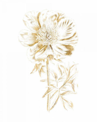 Gilded Botanical VIII White Modern Wood Framed Art Print with Double Matting by Wild Apple Portfolio