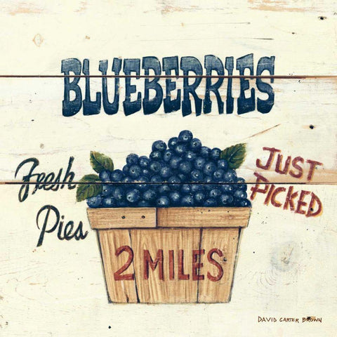 Blueberries Just Picked Black Ornate Wood Framed Art Print with Double Matting by Brown, David Carter