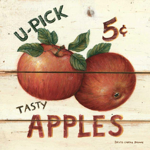 U-Pick Apples White Modern Wood Framed Art Print with Double Matting by Brown, David Carter