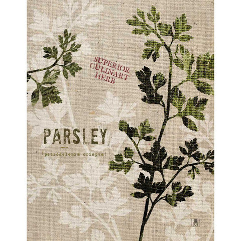 Organic Parsley No Butterfly Black Modern Wood Framed Art Print with Double Matting by Studio Mousseau