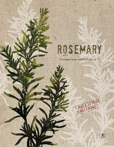 Organic Rosemary No Butterfly White Modern Wood Framed Art Print with Double Matting by Studio Mousseau