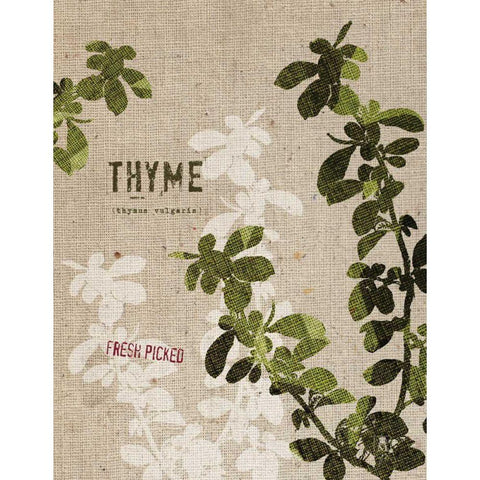 Organic Thyme No Butterfly White Modern Wood Framed Art Print by Studio Mousseau