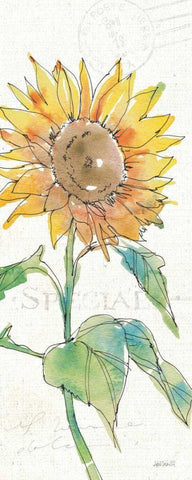 Tuscan Elegance V White Modern Wood Framed Art Print with Double Matting by Tavoletti, Anne