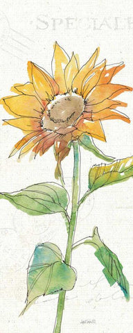 Tuscan Elegance VI Black Ornate Wood Framed Art Print with Double Matting by Tavoletti, Anne