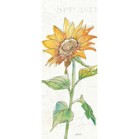 Tuscan Elegance VI White Modern Wood Framed Art Print by Tavoletti, Anne