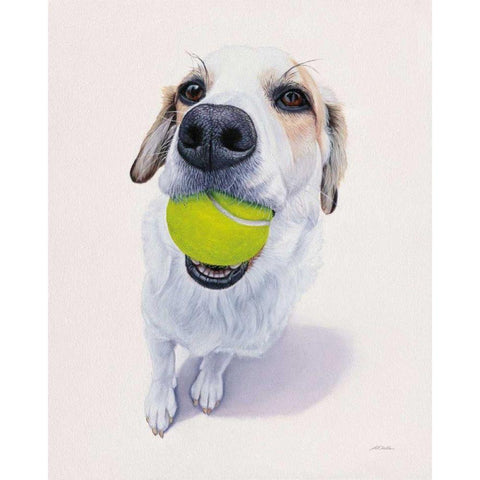 Newburgh no. 6 Gold Ornate Wood Framed Art Print with Double Matting by Ruby, James