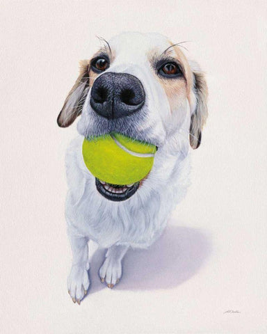 Newburgh no. 6 White Modern Wood Framed Art Print with Double Matting by Ruby, James