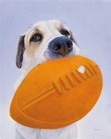 Newburgh no. 9 White Modern Wood Framed Art Print with Double Matting by Ruby, James