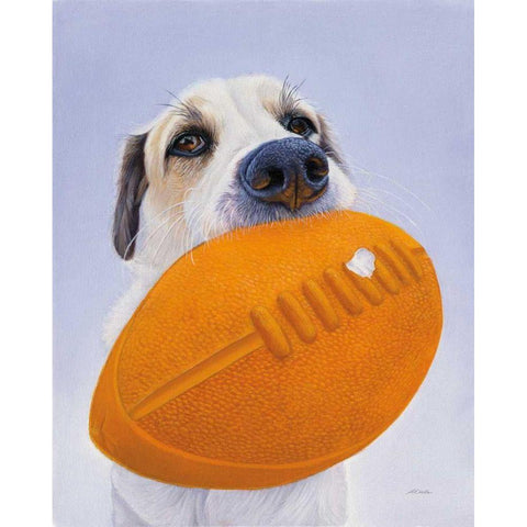 Newburgh no. 9 Black Modern Wood Framed Art Print with Double Matting by Ruby, James