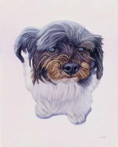 McCoy White Modern Wood Framed Art Print with Double Matting by Ruby, James