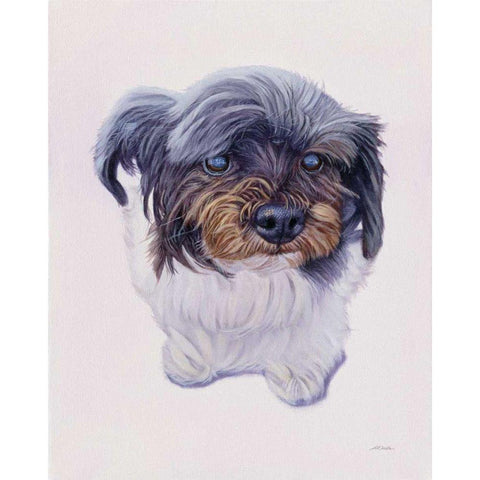 McCoy Black Modern Wood Framed Art Print by Ruby, James