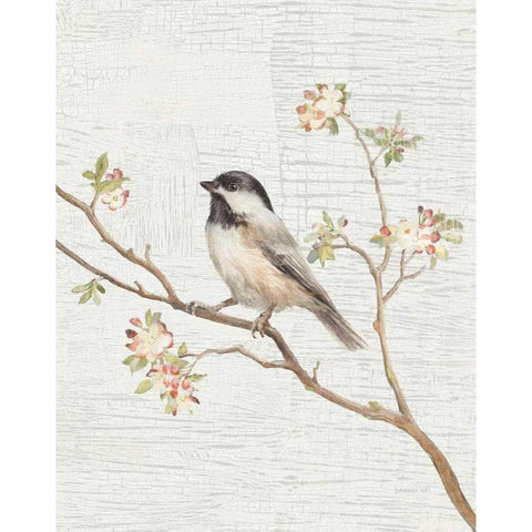 Black Capped Chickadee Vintage v2 Black Modern Wood Framed Art Print with Double Matting by Nai, Danhui