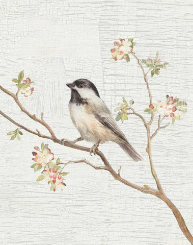 Black Capped Chickadee Vintage v2 Black Ornate Wood Framed Art Print with Double Matting by Nai, Danhui