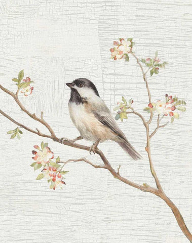 Black Capped Chickadee Vintage v2 White Modern Wood Framed Art Print with Double Matting by Nai, Danhui