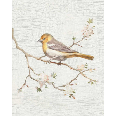 Northern Oriole Vintage v2 Gold Ornate Wood Framed Art Print with Double Matting by Nai, Danhui