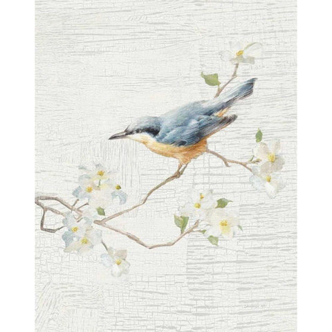 Nuthatch Vintage v2 White Modern Wood Framed Art Print by Nai, Danhui