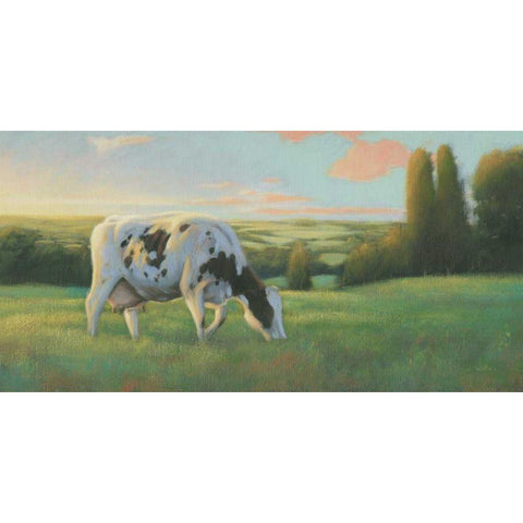 Farm Life I White Modern Wood Framed Art Print by Wiens, James