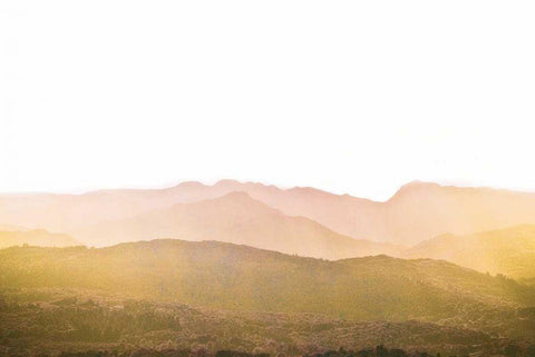 A Watercolor Wash of Light Crop Mustard and Blush Black Ornate Wood Framed Art Print with Double Matting by Bevan, Keri