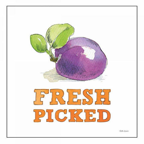 Fresh From the Garden VI No Border Sq White Modern Wood Framed Art Print by Grove, Beth