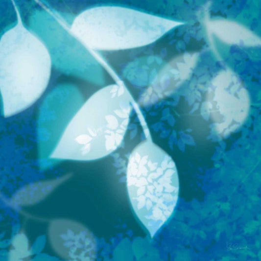 Image Only