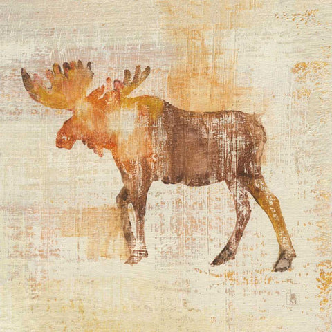 Moose Study Black Modern Wood Framed Art Print by Studio Mousseau