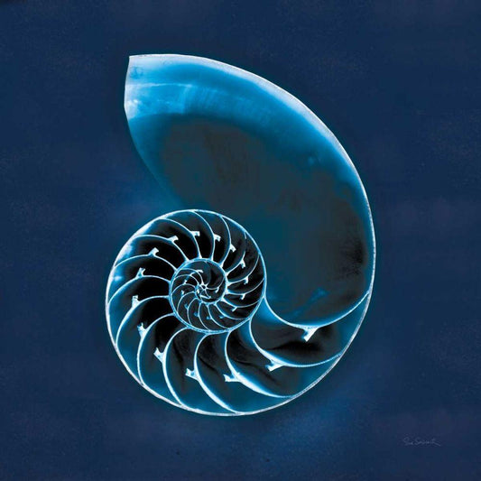 Image Only