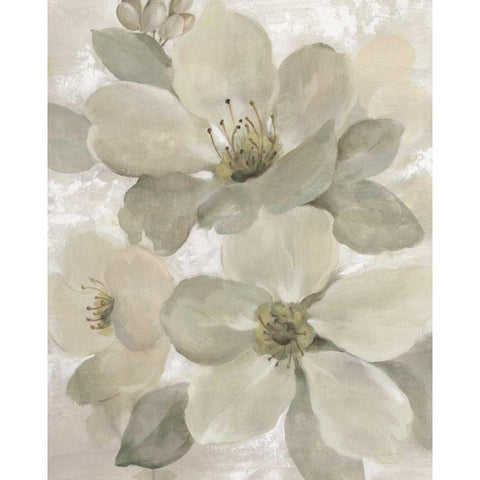 White on White Floral I Crop Neutral Black Modern Wood Framed Art Print with Double Matting by Vassileva, Silvia