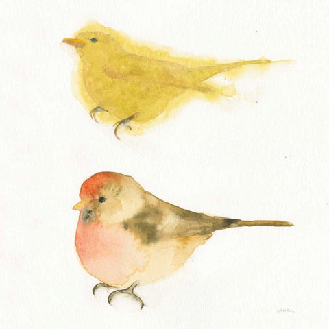 Watercolor Birds I Sq White Modern Wood Framed Art Print by Novak, Shirley
