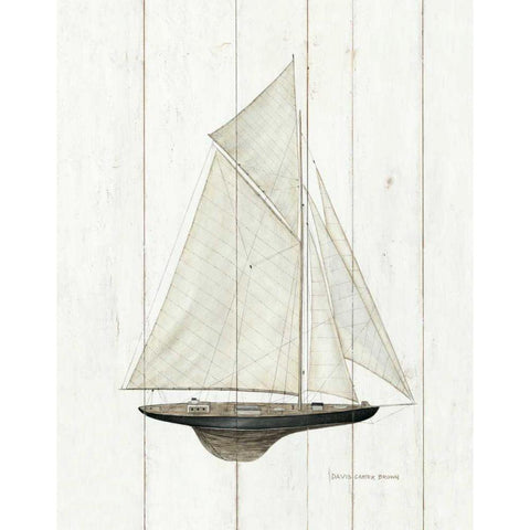 Sailboat I Black Modern Wood Framed Art Print with Double Matting by Brown, David Carter