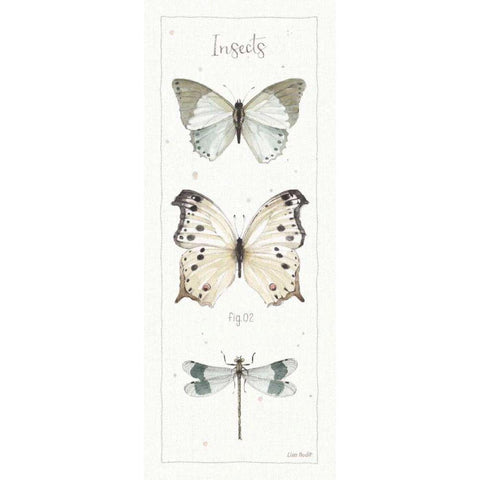 A Country Weekend XIV White Modern Wood Framed Art Print by Audit, Lisa