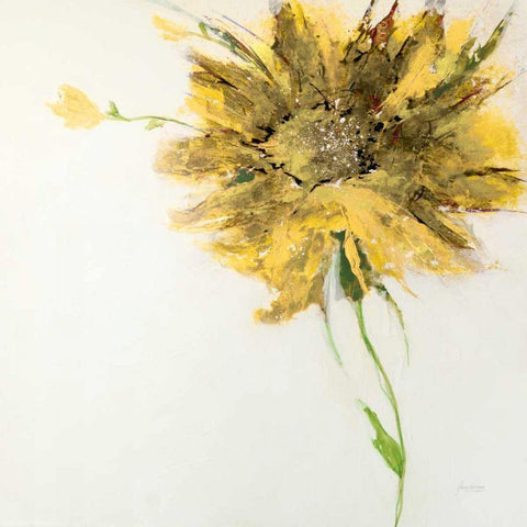 Yellow Daisy on White Black Modern Wood Framed Art Print by Griggs, Jan