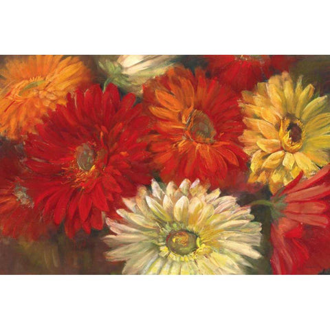 Gerberas Black Modern Wood Framed Art Print with Double Matting by Rowan, Carol