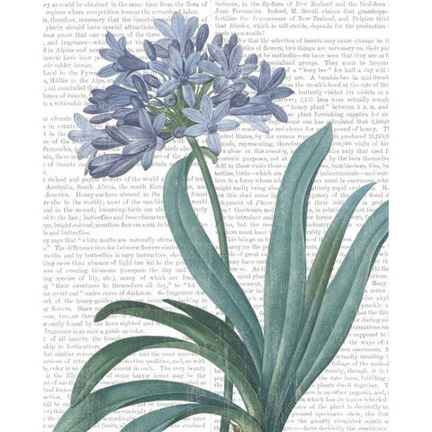 Summer Botanicals I White Modern Wood Framed Art Print by Wild Apple Portfolio