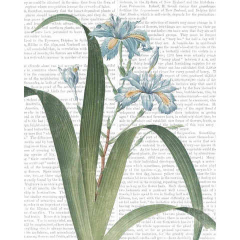 Summer Botanicals III White Modern Wood Framed Art Print by Wild Apple Portfolio