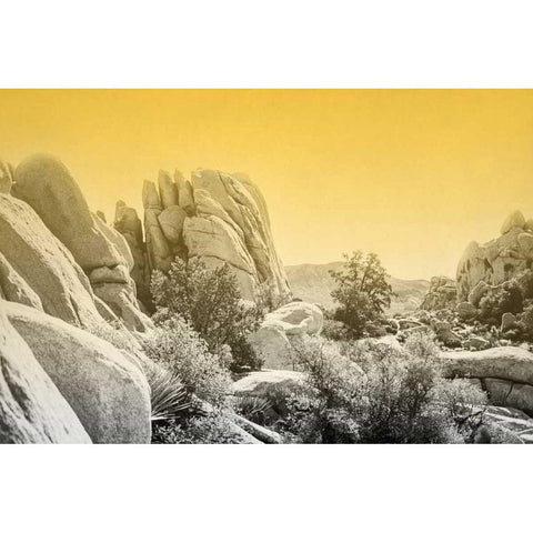 Ombre Adventure I Gold Ornate Wood Framed Art Print with Double Matting by Urquhart, Elizabeth