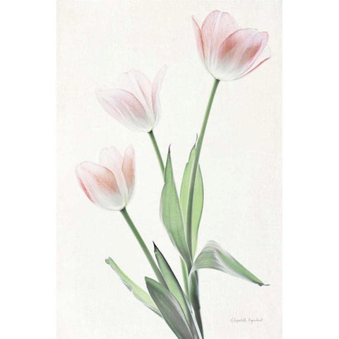 Light and Bright Floral I Black Modern Wood Framed Art Print with Double Matting by Urquhart, Elizabeth