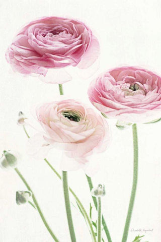 Light and Bright Floral VI White Modern Wood Framed Art Print with Double Matting by Urquhart, Elizabeth