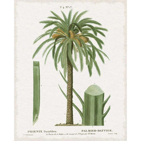 Island Botanicals II Black Modern Wood Framed Art Print with Double Matting by Wild Apple Portfolio